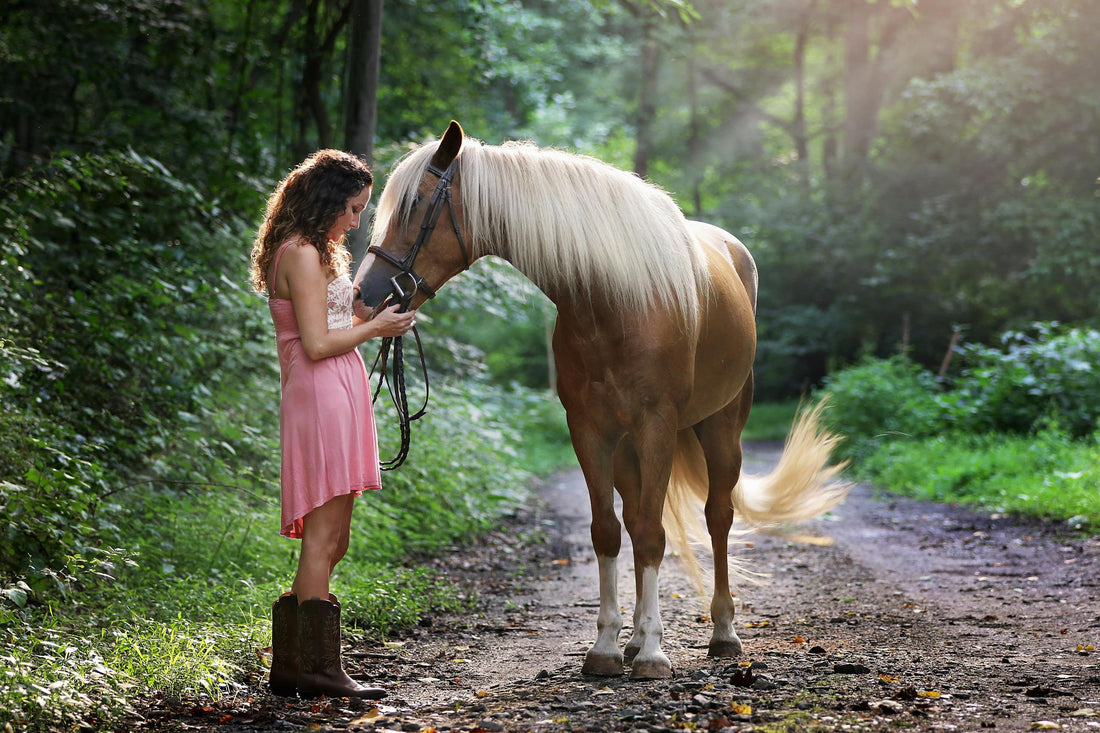 Das Krafttier Pferd und seine spirituelle Bedeutung