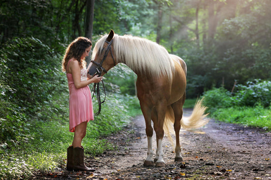 Das Krafttier Pferd und seine spirituelle Bedeutung
