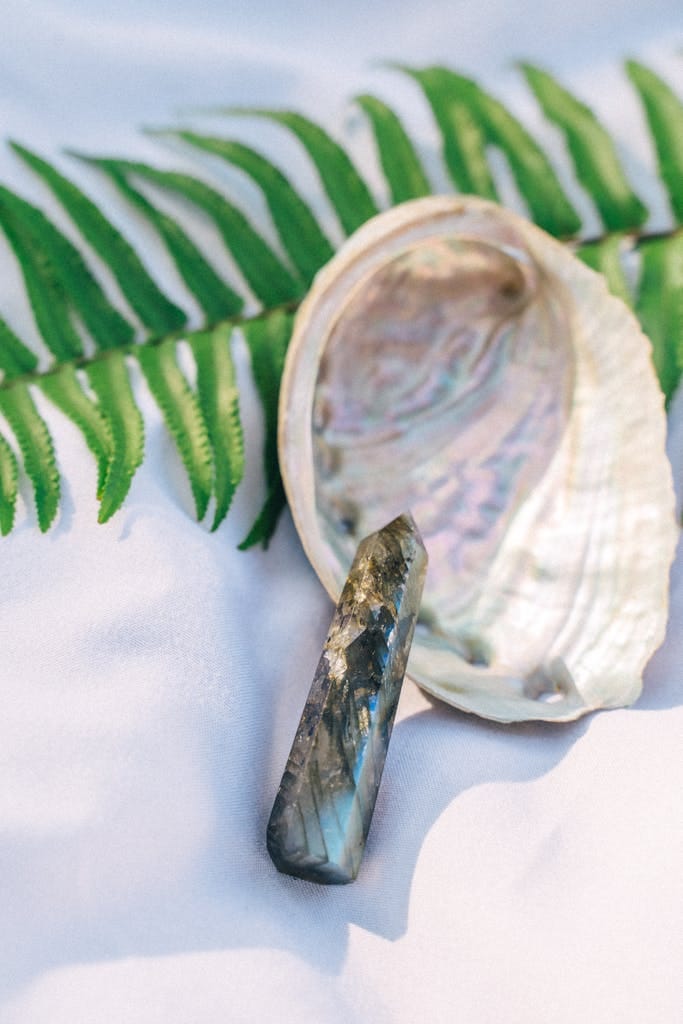A serene composition featuring a labradorite crystal with abalone shell and green fern, ideal for nature themes.