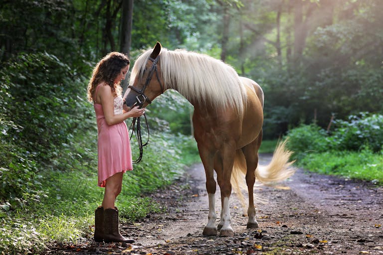 A young woman in a pink dress with a horse on a sunlit forest pathway.