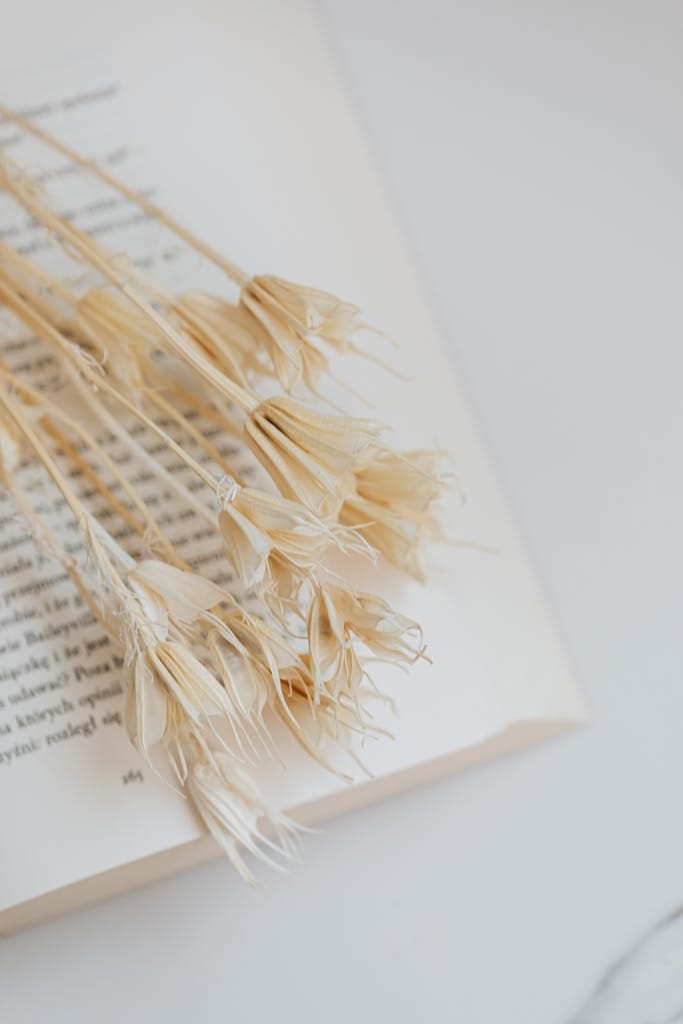 Serene close-up of dried flowers on an open book creating calm conceptual still life.