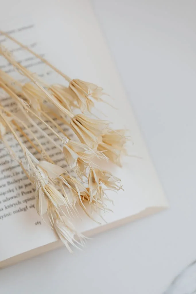 Serene close-up of dried flowers on an open book creating calm conceptual still life.